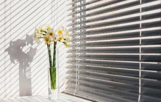 Як змінити інтер'єр за допомогою жалюзі? Декілька нестандартних ідей