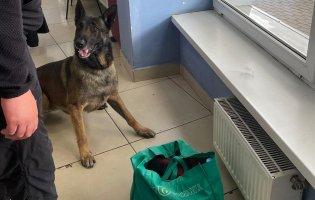 На «Ягодині» намагалися провезти через кордон наркотики