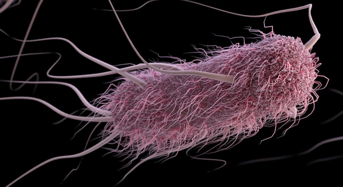 У річці біля Луцька знайшли кишкову паличку