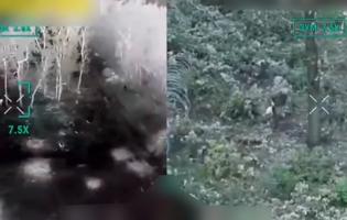 Захисники вперше взяли в полон окупанта за допомогою FPV-дрона