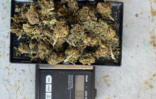 На «Устилузі» чотирилапі «митники» знайшли трамадол і канабіс