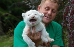 На кримського колаборанта напали леви з його парку