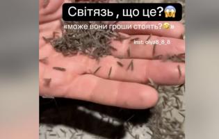 На Світязі – аномальне нашестя комах