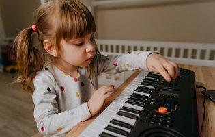 Синтезатори для новачків: основа правильного вибору