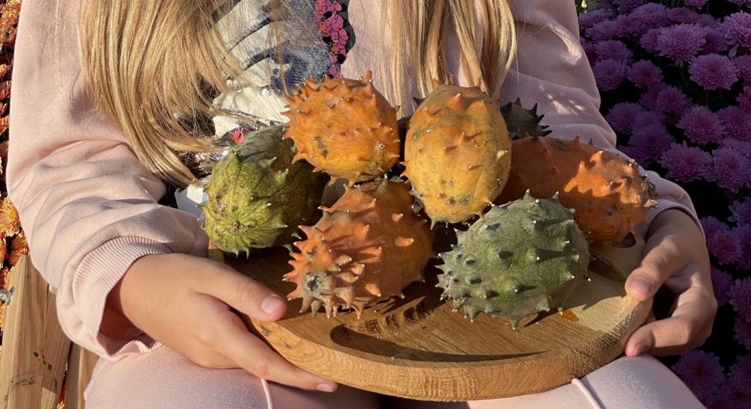 Огірки дуже корисні, але їсти їх можна не всім!