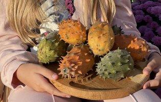 Огірки дуже корисні, але їсти їх можна не всім!