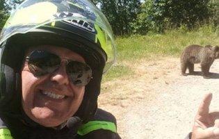 У румунських Карпатах ведмідь убив туриста після селфі з ним