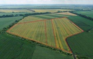 Волинянин продавав будинки під виглядом землі: як його покарали