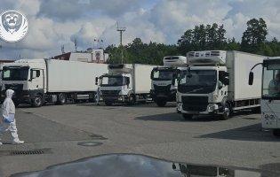 До України повернули 1000 тіл загиблих українців