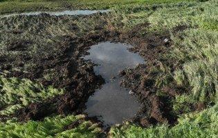 Відомо ймовірна причина падіння винищувача на Волині