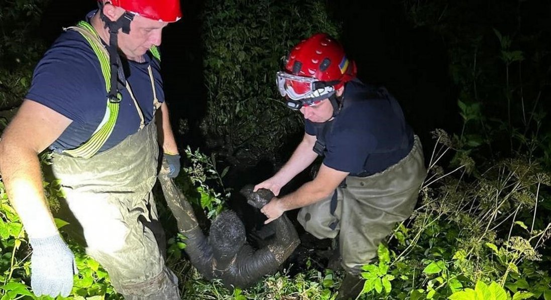 У Луцьку рятувальники вночі витягнули чоловіка з болота