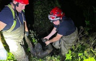 У Луцьку рятувальники вночі витягнули чоловіка з болота