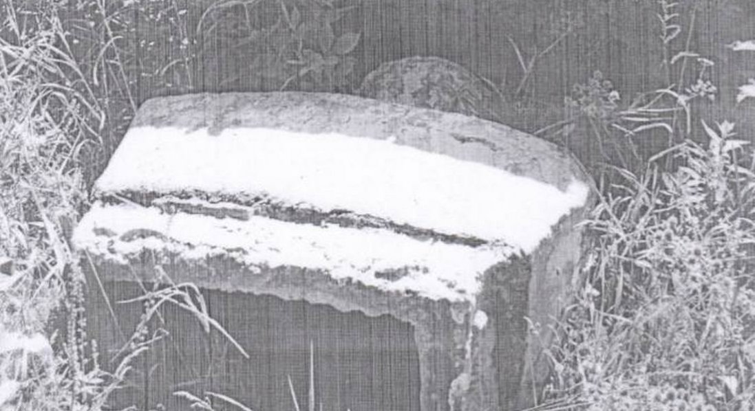 На підконтрольній Україні території знесли останній пам'ятник Леніну