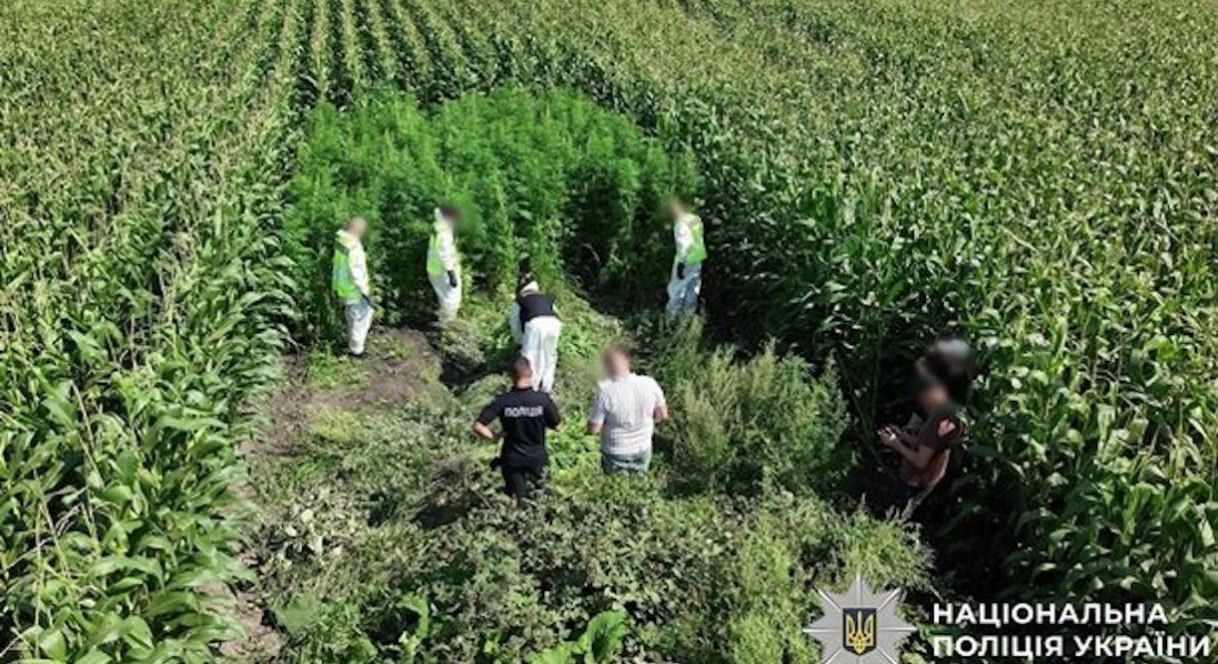 На Волині і ще в 19 областях провели масштабну операцію «Джентельмени»