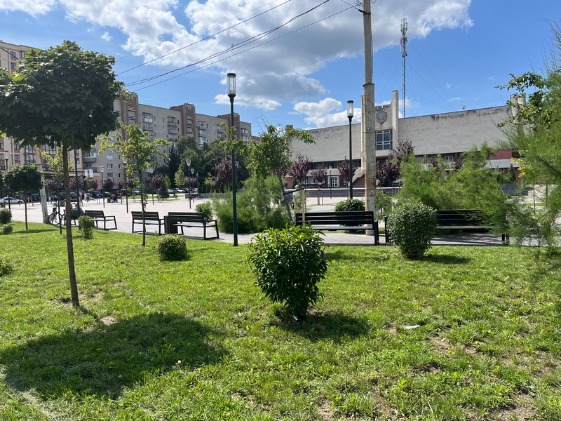 На площі перед РАЦСом у Луцьку частина дощової води йде в землю крізь тротуарну плитку, а ще частина живить дерева, кущі і траву.