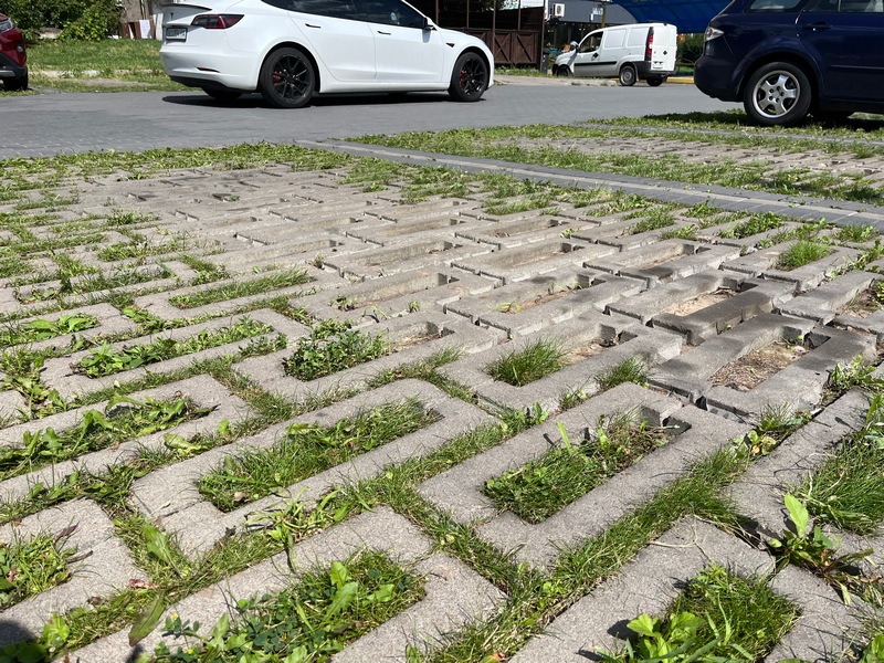 Пориста бруківка на площі перед РАЦСом у Луцьку