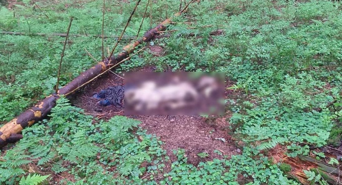 У Карпатах прикордонники виявили рештки двох людей