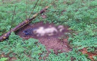 У Карпатах прикордонники виявили рештки двох людей