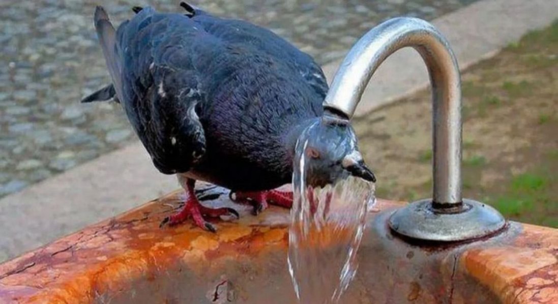 У Луцьку зафіксували температурний рекорд