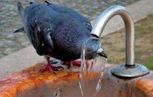 У Луцьку зафіксували температурний рекорд