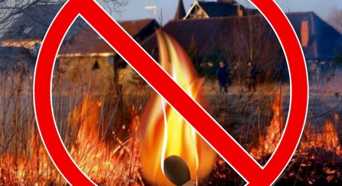 Від диму спаленої трави зростає ризик захворіти на онко