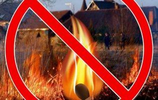 Від диму спаленої трави зростає ризик захворіти на онко