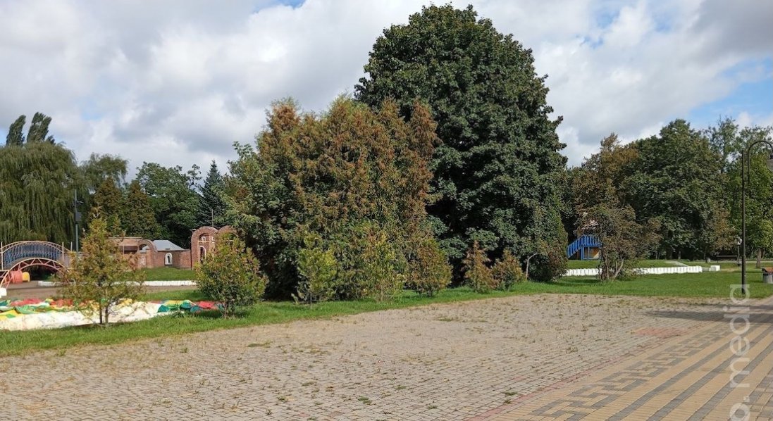 У центральному парку Луцька буде новий спортмайданчик