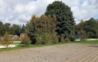 У центральному парку Луцька буде новий спортмайданчик