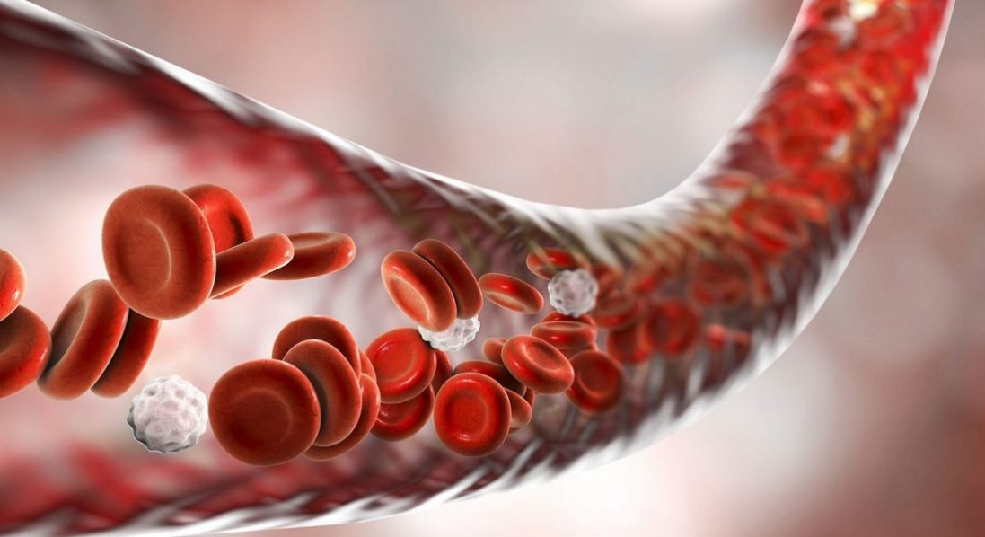 Від чого утворюються тромби і чому вони відриваються