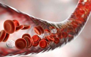 Від чого утворюються тромби і чому вони відриваються