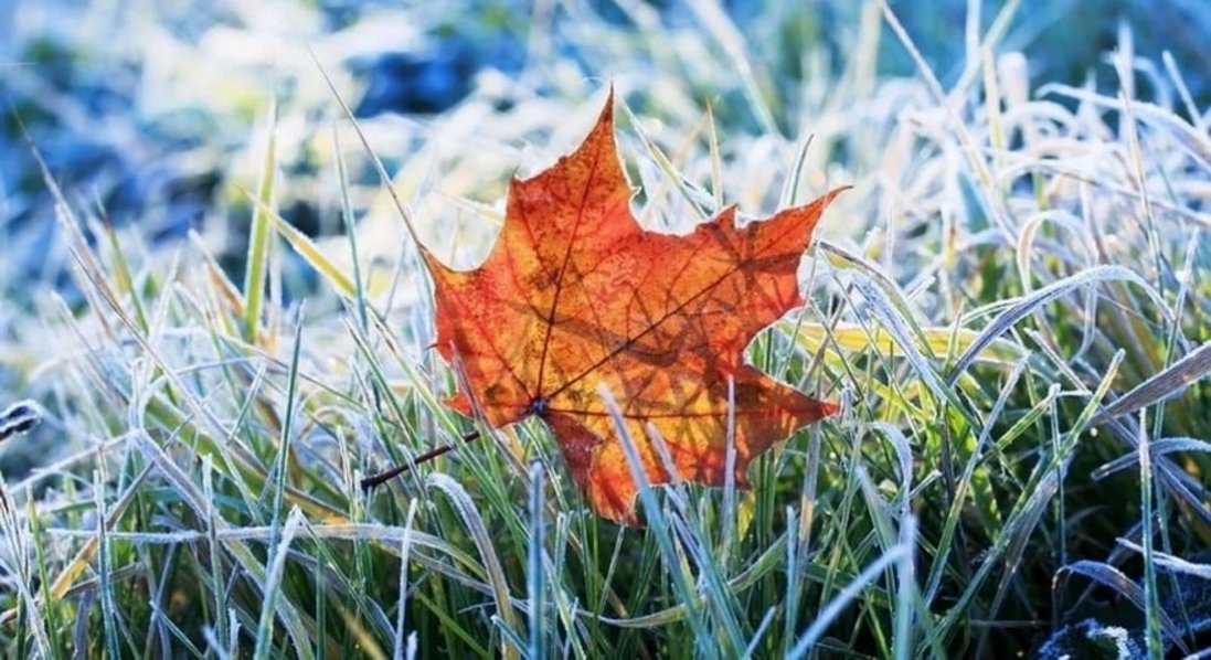 На Волинь сунуть перші осінні заморозки