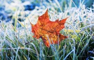 На Волинь сунуть перші осінні заморозки