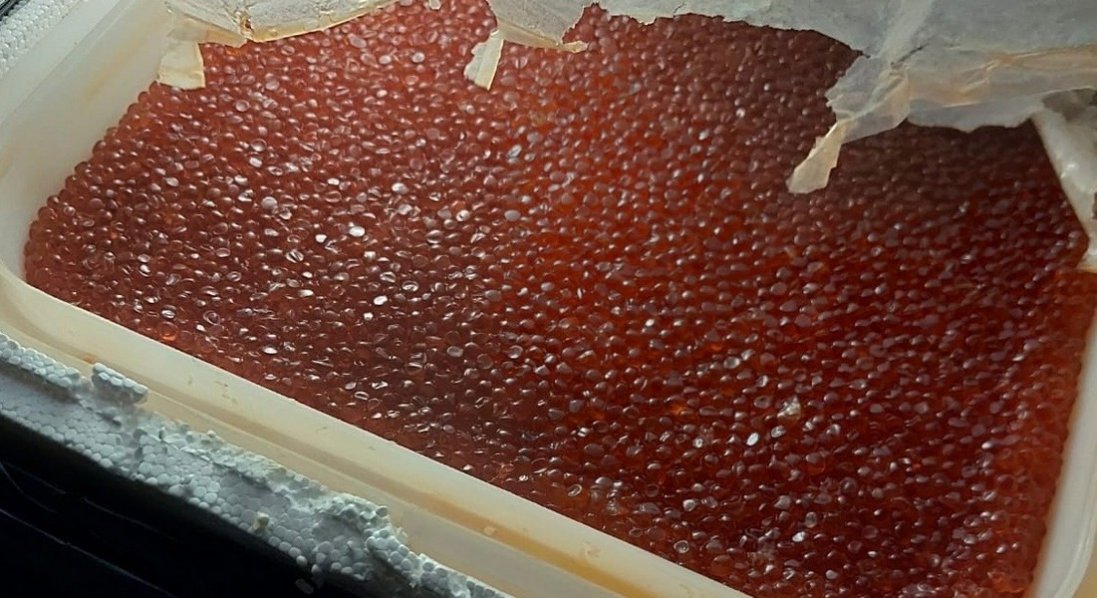 Через «Устилуг» хотіли провезти майже центнер російської червоної ікри та крабового м’яса