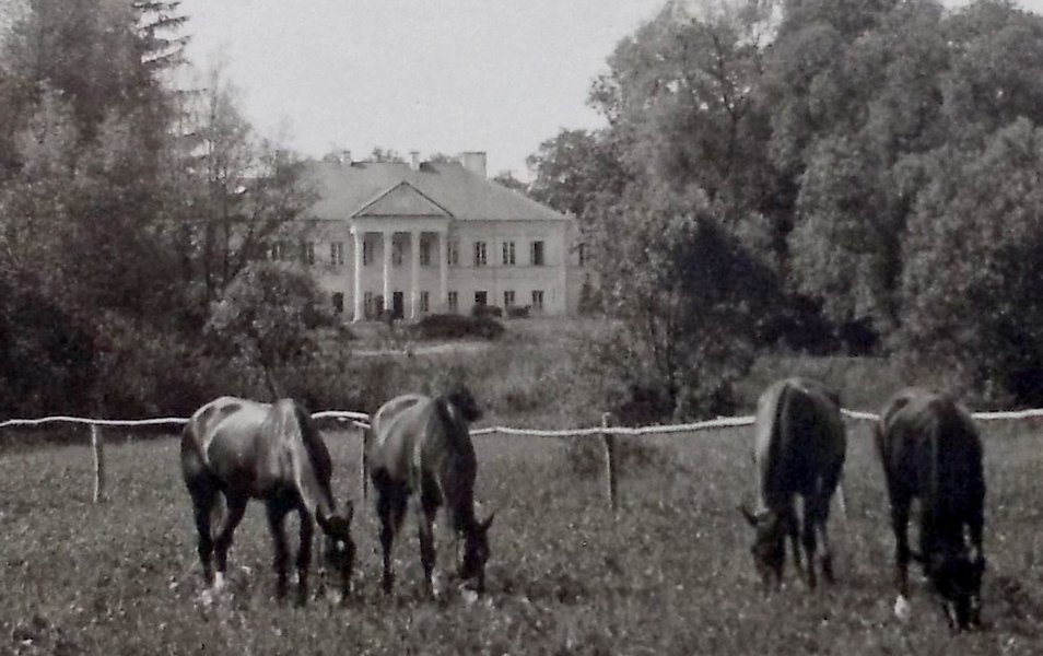Палац у Бужанах, 1914 рік