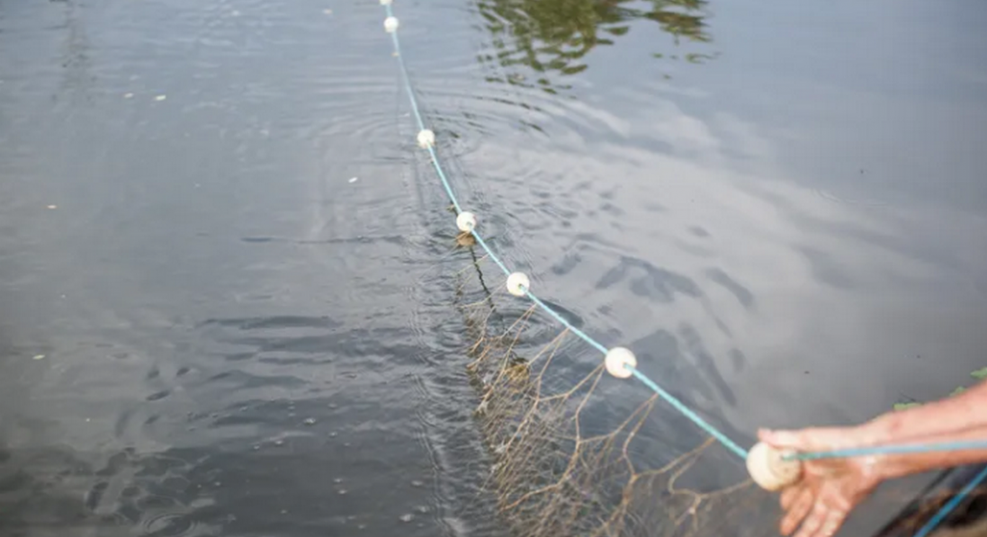 На Сумщині російський дрон влучив у човен із рибалками