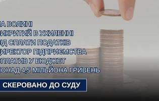 На Волині судитимуть директора підприємства, який не сплатив у бюджет понад 4,5 млн грн