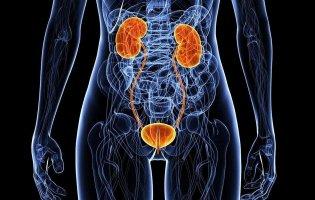 Чому з настанням холодів починаються цистит і проблеми з нирками?