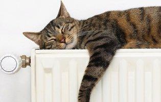 Ухвалили рішення щодо опалювального сезону в Луцьку