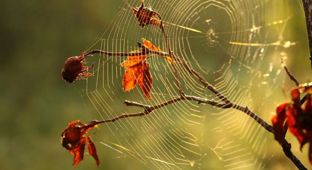 В Україні бабине літо прийде після різкого похолодання