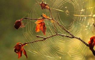 В Україні бабине літо прийде після різкого похолодання