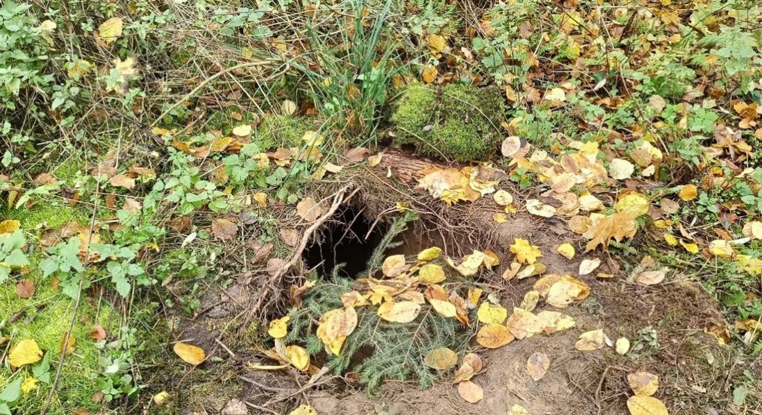 Польські прикордонники знайшли підземний тунель біля кордону з білоруссю