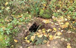 Польські прикордонники знайшли підземний тунель біля кордону з білоруссю