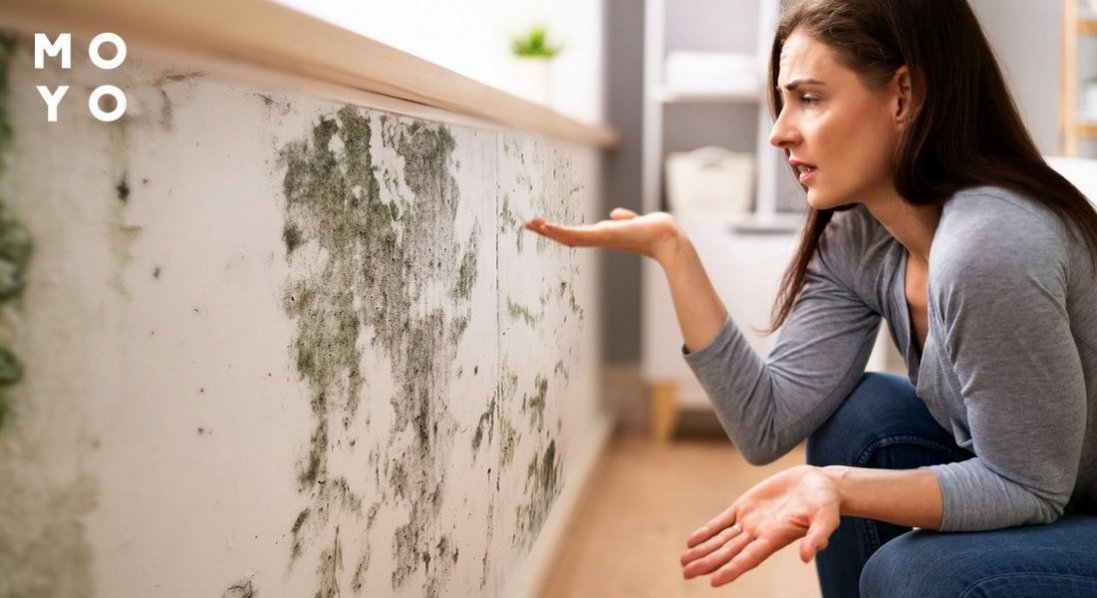 Чому на стінах утворюється пліснява та чим вона небезпечна