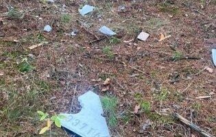 На Чернігівщині здетонував дрон: поранені двоє підлітків