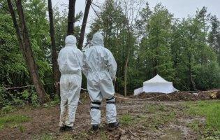 Польща розпочне пошуки жертв Волинської трагедії на Рівненщині