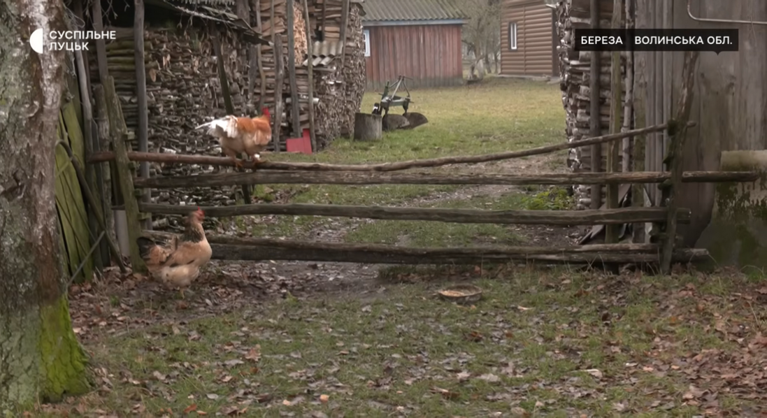 Як живуть люди в селах та хуторах в прикордонні Волині