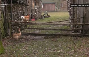 Як живуть люди в селах та хуторах в прикордонні Волині