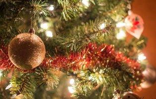 Тернопіль відмовився від новорічної ялинки