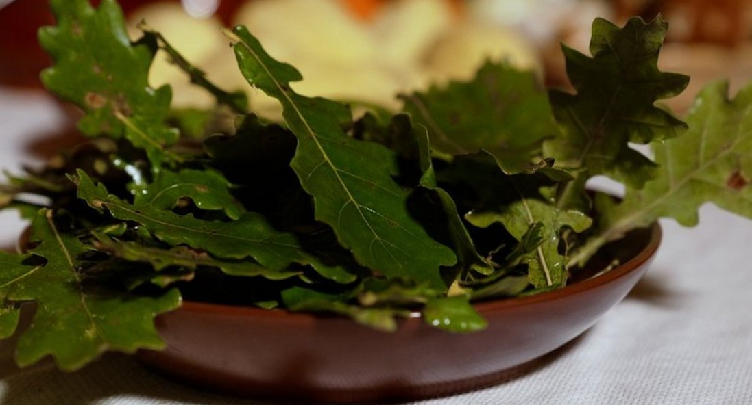 Грибову юшку з дубовим листям готували воїни УПА