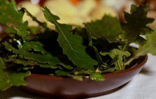 Грибову юшку з дубовим листям готували воїни УПА